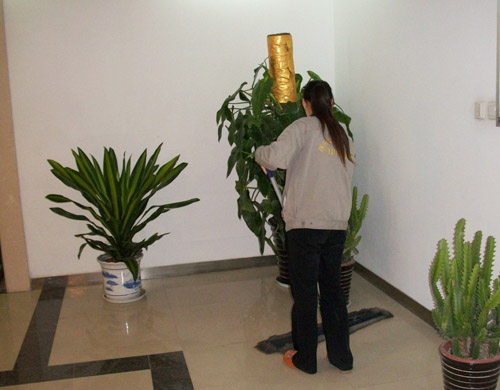 常州公司保洁 常州公司保洁